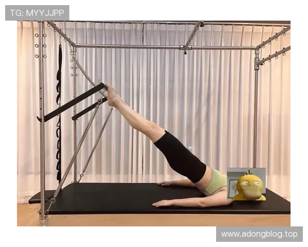 从零开始的普拉提入门指南助你建立核心力量与体态平衡身心健康提升